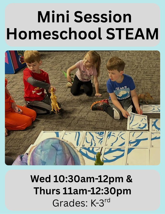 Dec Homeschool STEAM