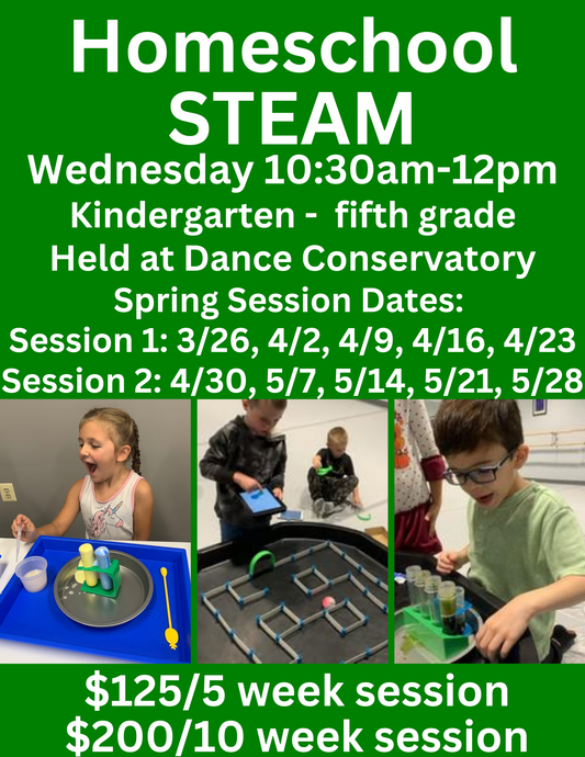 Homeschool STEAM