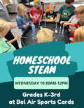 Homeschool STEAM