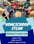 Winter Homeschool STEAM