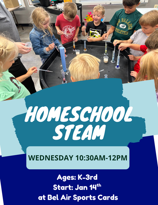 Winter Homeschool STEAM