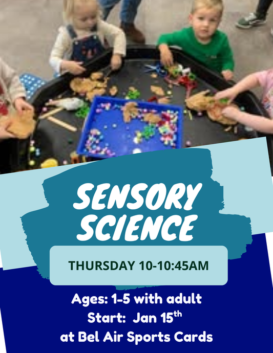 Winter Sensory Science