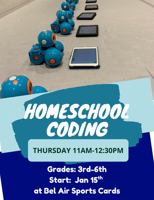 Winter Homeschool Coding